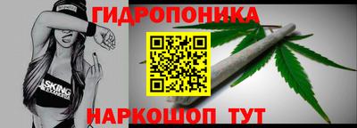 прущие грибы Конаково