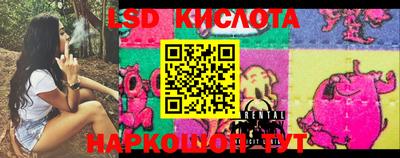 прущие грибы Конаково