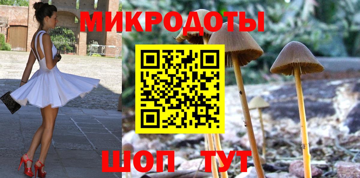 Фурманов  Псилоцибиновые грибы MAGIC MUSHROOMS  Вход с VPN 