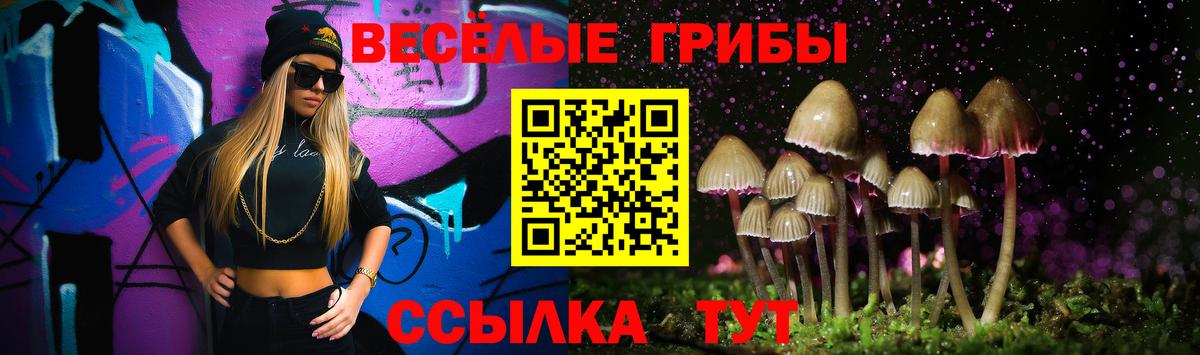 Псилоцибиновые грибы GOLDEN TEACHER Фурманов
